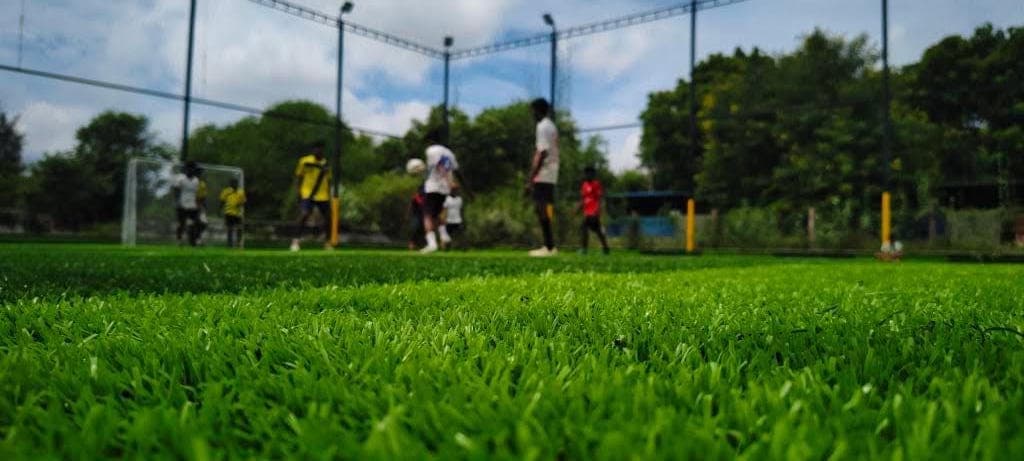 Professional Turf Quality